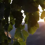 Quinta Vale De Lobos 4* Folgosa (Viseu)