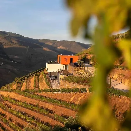 Quinta Vale De Lobos Folgosa (Armamar)