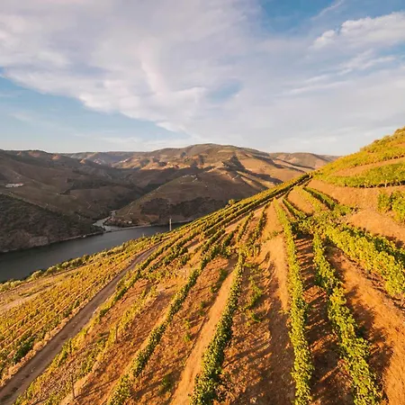 Quinta Vale De Lobos Folgosa (Viseu)