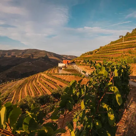 Quinta Vale De Lobos 폴고사