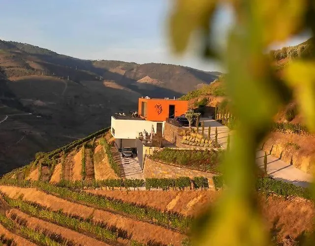 Quinta Vale De Lobos Folgosa (Viseu)