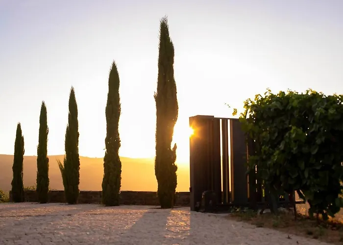 Quinta Vale De Lobos 3* Folgosa (Viseu)