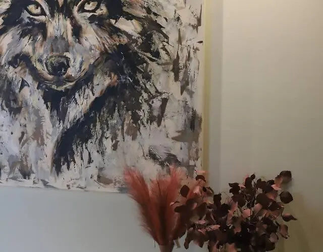 Quinta Vale De Lobos Folgosa (Viseu)