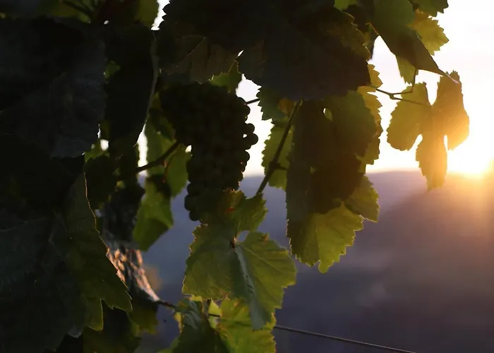 Quinta Vale De Lobos 3* Folgosa (Viseu)