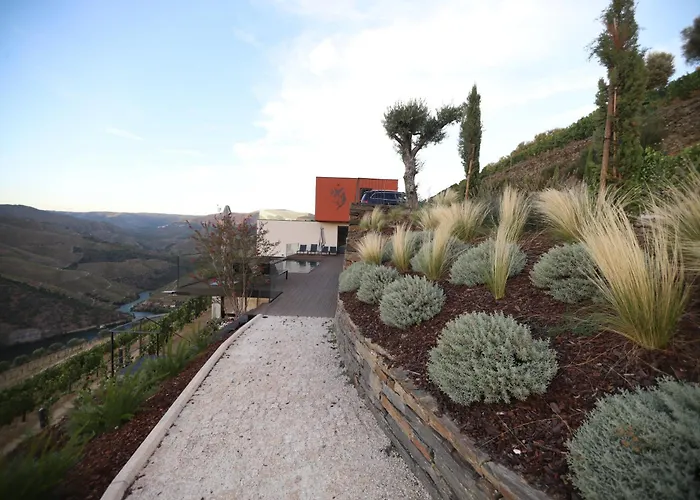 Quinta Vale De Lobos Bed & Breakfast Folgosa (Viseu)