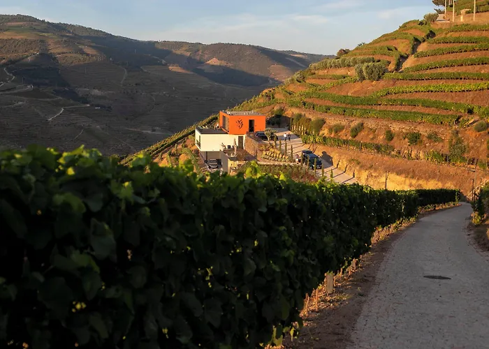 Quinta Vale De Lobos Bed & Breakfast