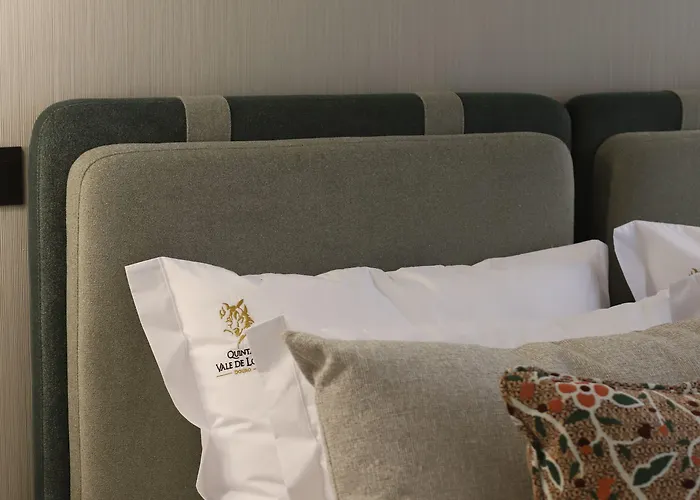 Quinta Vale De Lobos 3* Folgosa (Viseu)