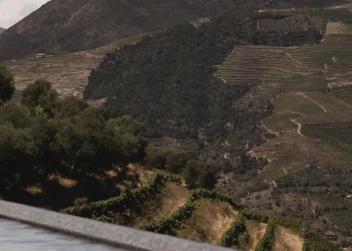 Quinta Vale De Lobos 3*